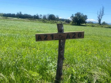 Venta / Parcela / Ñiquén