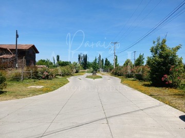 Venta / Parcela / Olivar