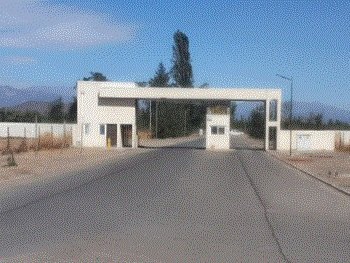 Venta / Parcela / Olivar