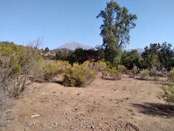 Imagen 6