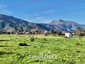 Imagen 7