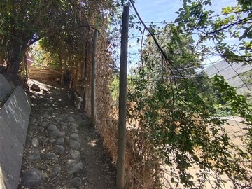 Imagen 5
