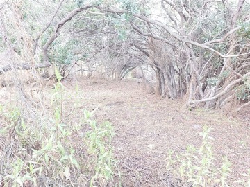 Imagen 9