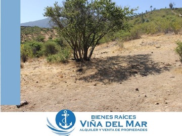 Imagen 7