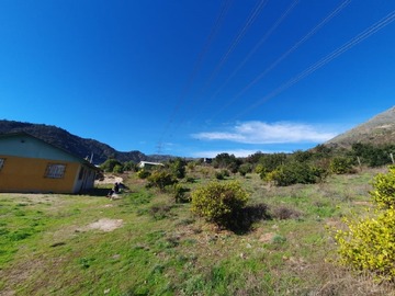 Imagen 5