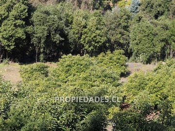 Imagen 25