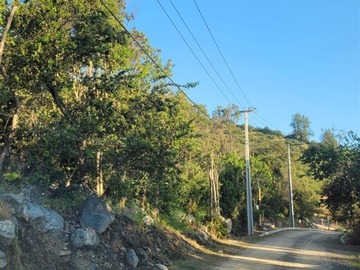 Imagen 22