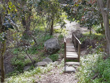 puente que cruza la quebrada