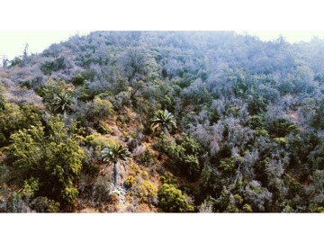 TERRENOS_QUEBRADA_ALVARADO_LA_PALMA_7