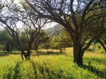 Venta / Parcela / Olmué