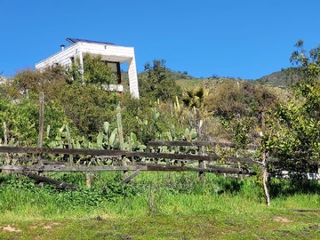 Imagen 11