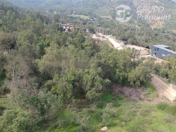 Imagen 20