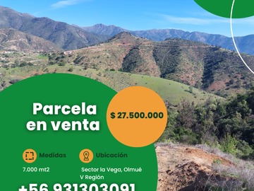 Venta / Parcela / Olmué