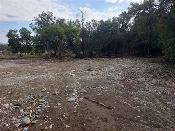 Imagen 13