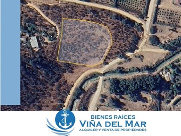 Imagen 9
