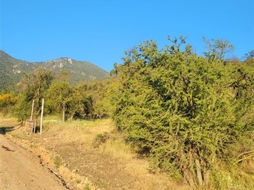 Imagen 26