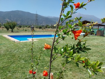 Imagen 25