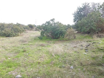Imagen 8