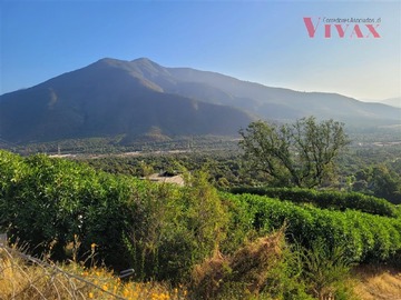 Imagen 9