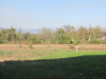 Imagen 8