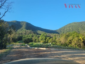Imagen 17