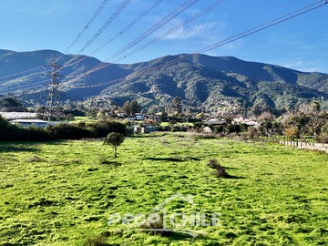 Imagen 6