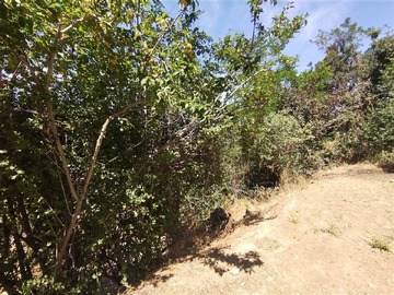 Imagen 9