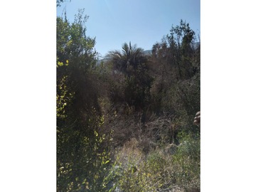 Imagen 5