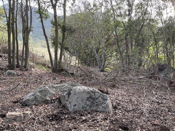 Imagen 5
