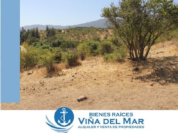 Imagen 8