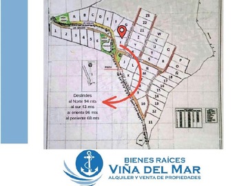 Imagen 10