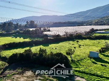 Imagen 12