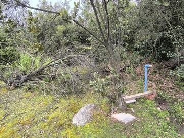 Imagen 9
