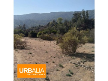 Imagen 11