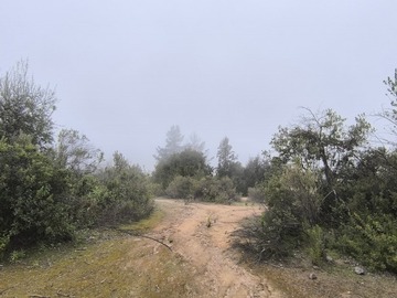 Imagen 15