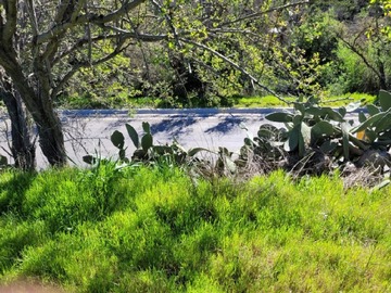 Imagen 9