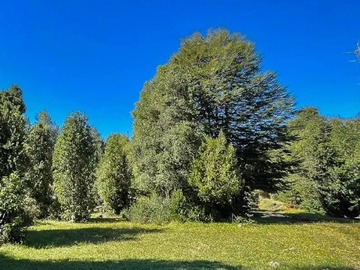 Venta / Parcela / Osorno