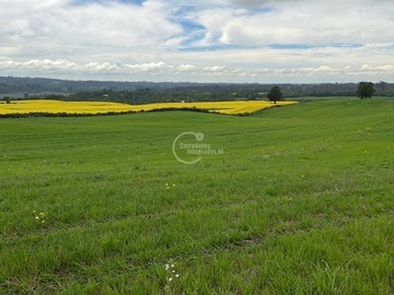Venta / Parcela / Osorno