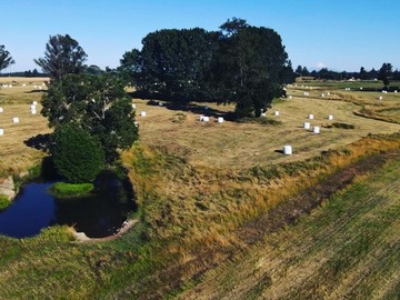 Venta / Parcela / Osorno