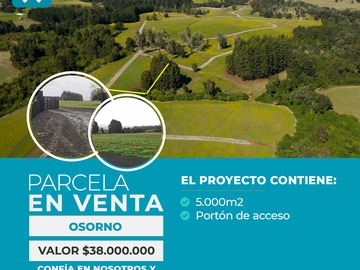 Venta / Parcela / Osorno