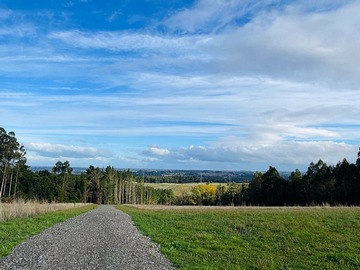 Venta / Parcela / Osorno