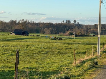 Venta / Parcela / Osorno