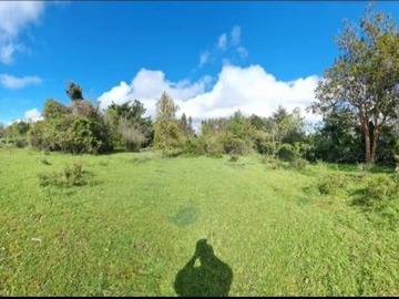 Venta / Parcela / Osorno