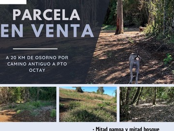 Venta / Parcela / Osorno