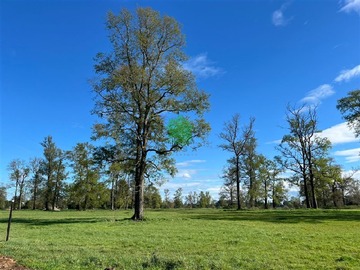 Venta / Parcela / Osorno