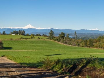 Venta / Parcela / Osorno