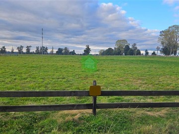 Venta / Parcela / Osorno