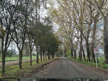Venta / Parcela / Osorno