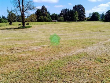 Venta / Parcela / Osorno
