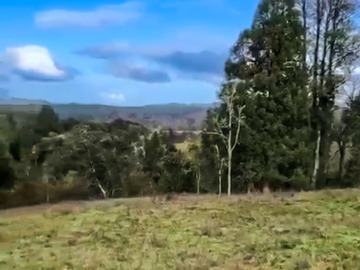 Venta / Parcela / Osorno